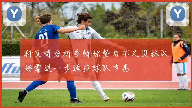 科瓦奇分析多特优势与不足贝林汉姆需进一步适应球队节奏